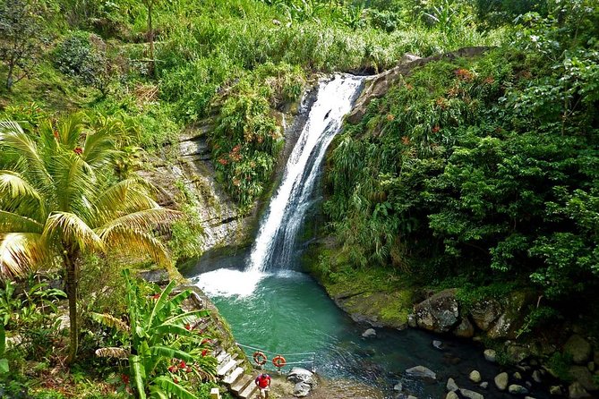 Full-Day Tour: Concord Waterfall, Chocolate Factory, Rum Distillery, Grand Etang - Tour Overview
