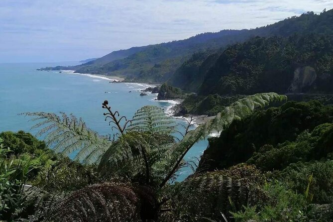 Full Day Tour of the Sights and Tastes of the West Coast