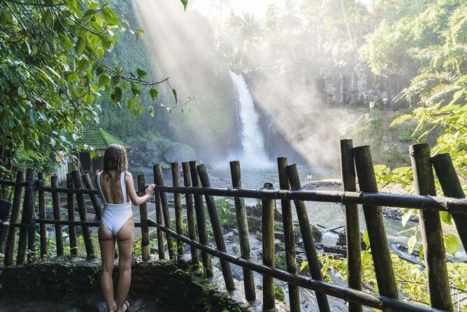 Full-Day Tour Ubud Best Things to Do in Ubud - Highlights of Balis Attractions