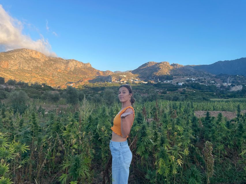 Full Day Trip to the Waterfalls of Akchour