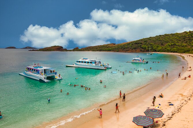 5 Best Full-Day Tours In Puerto Rico