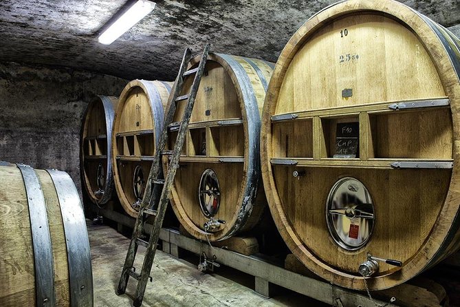 Full-Day Wine Tour Around Bandol & Cassis From Marseille