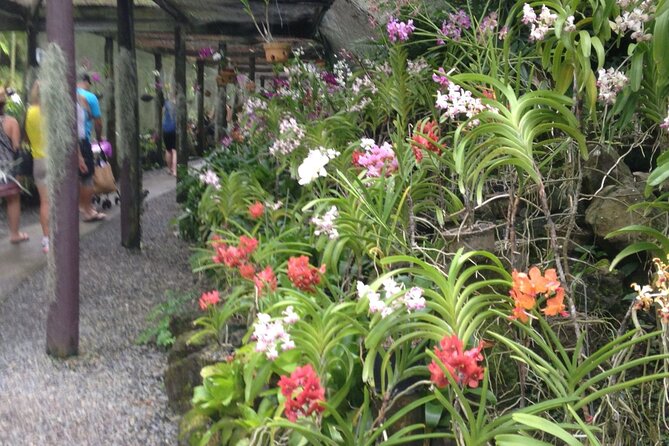 FullDay-Nadi Private Tour Mudpools,Village,Temple,Garden Ex Coast