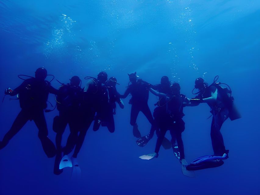 Fun Dive and Shipwreck Explorer