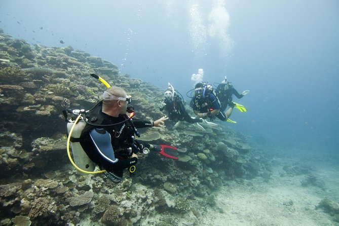 Fun Dives For Certified Divers - Overview