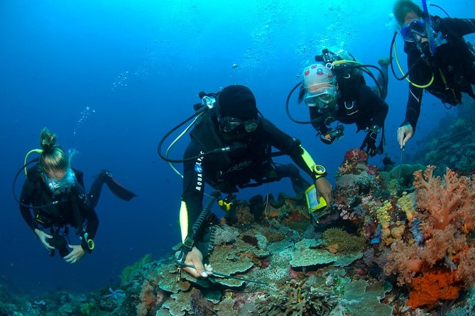 Fun Diving Tulamben Bali - For Certified Divers