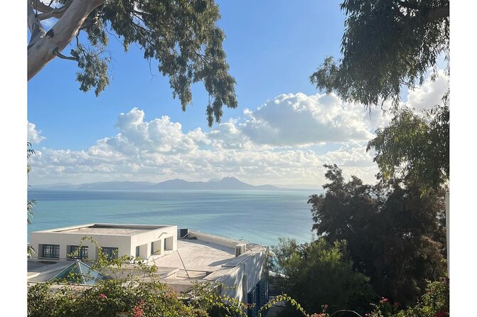 Fun Private Tour: Tunis Medina, Blue Sidi Bou Said, Carthage