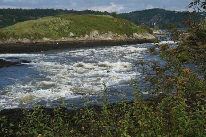 Fundy Coast to Fundy Shore Tour