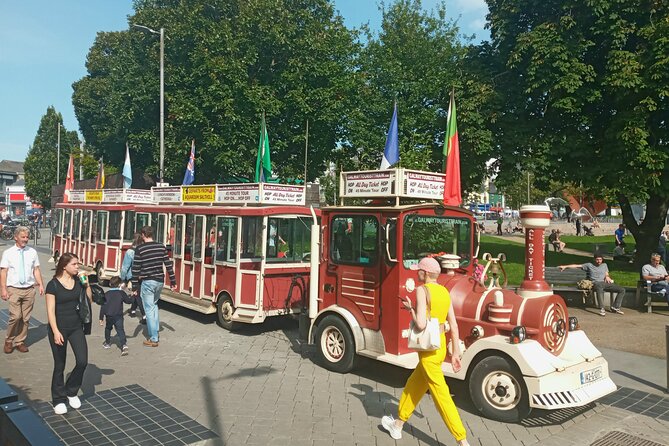 Galway Historic City Walk - 2hr Private Tour - Tour Overview