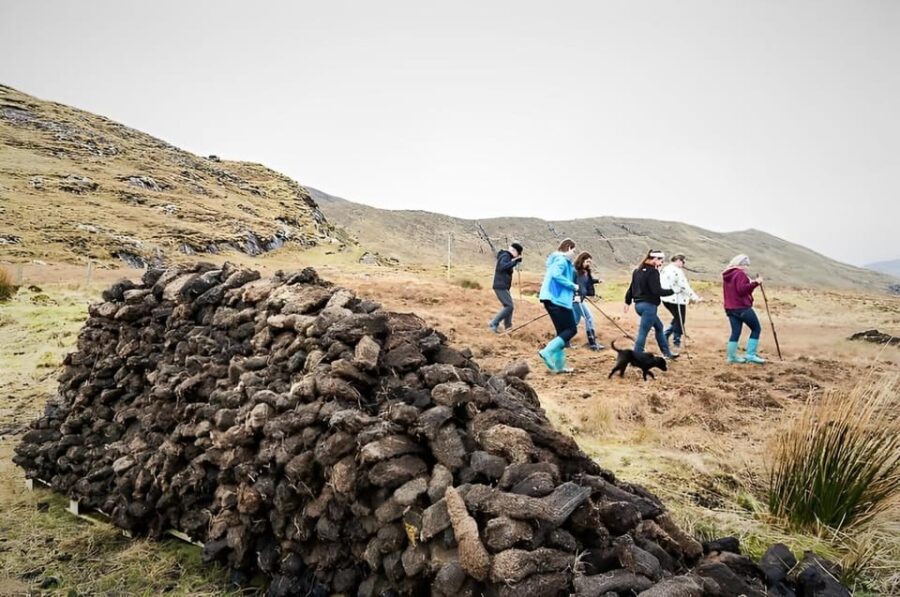 Galway: Working Sheep Farm Guided Visit With Herding Demo