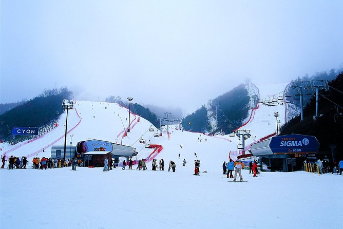 Gangchon Elysian Ski Day Trip From Seoul - Tour Inclusions and Options