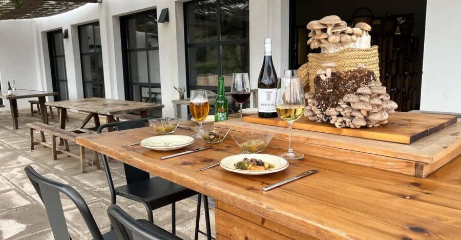 Gastronomic Experience in Mushroom Cultivation