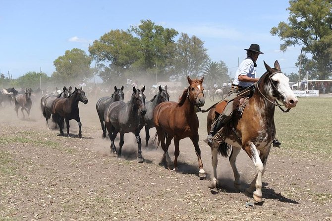 Gaucho Experience: A Day Trip to Don Silvano Ranch - Overview of the Gaucho Experience