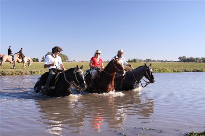Gaucho Small-Group Full Day at a Farm in Buenos Aires - Guest Reviews and Experiences
