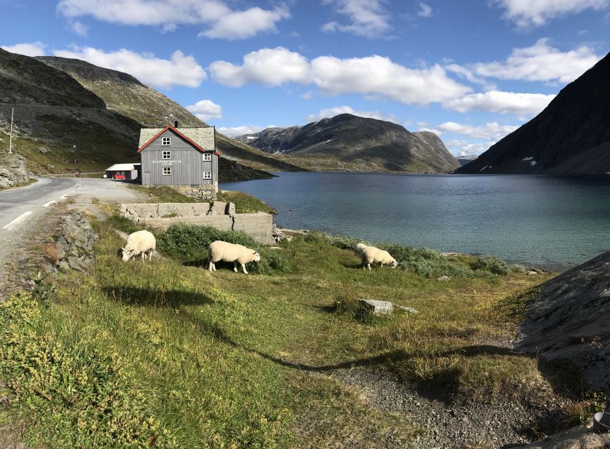 Geiranger Fjord: Downhill Self-Guided Bike Tour