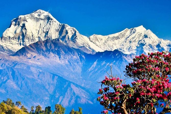 Ghorepani Poon Hill Sunrise Trek - Trek Overview and Details