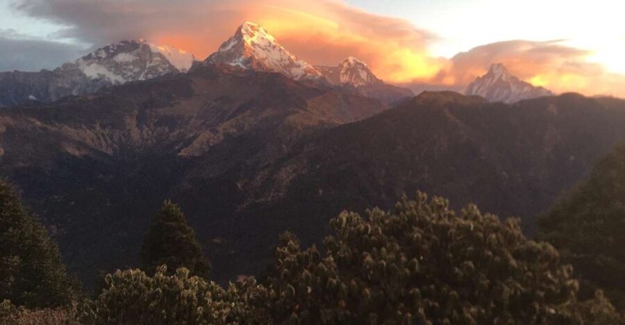 Ghorepani Poonhill Family Tour 5 Days