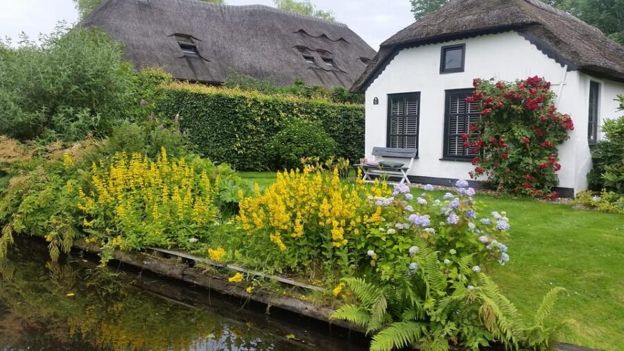Giethoorn Private Tour With Open Boat and Local Captain