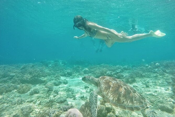 Gili Island Snorkeling Half Day Trip Departure From Gili Trawangan