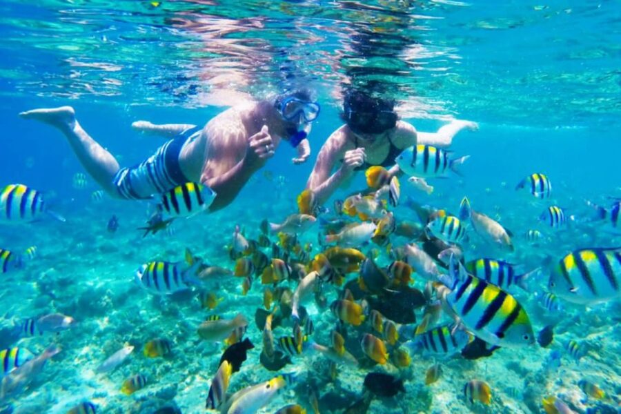 Gili Islands: Underwater Statues Cruise and Snorkeling