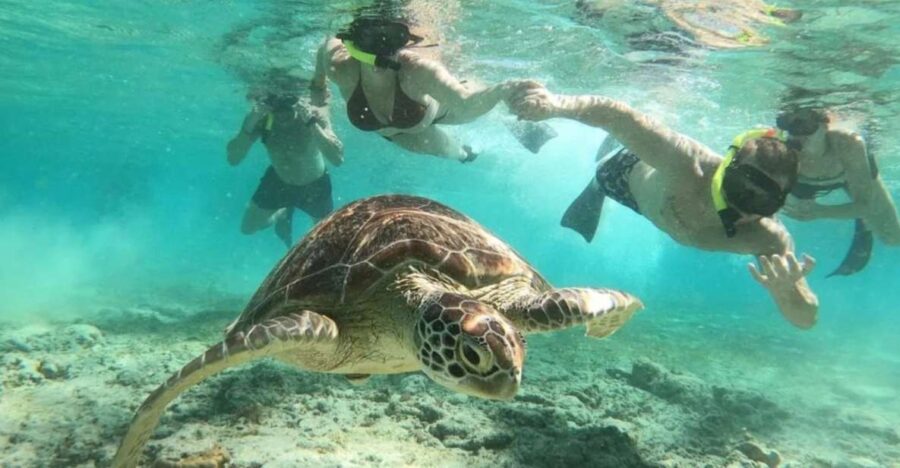 Gili Trawangan: Gili Island 3 Spots Snorkeling With Turtle