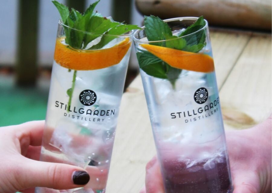 Gin School, Distill You Own Gin, Cocktails, Tastings, Food