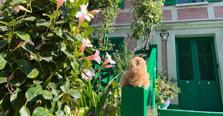 Giverny Half-day Private Tour by Comfort Car