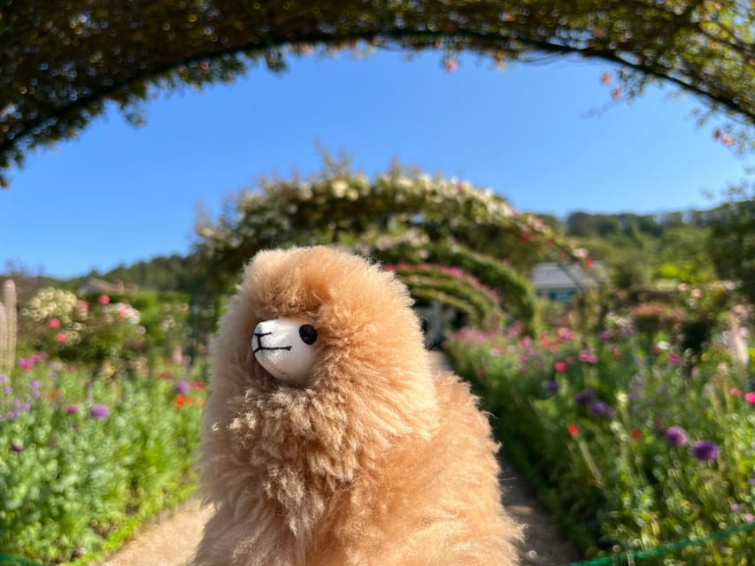 Giverny Half-day Private Tour by Luxury Car