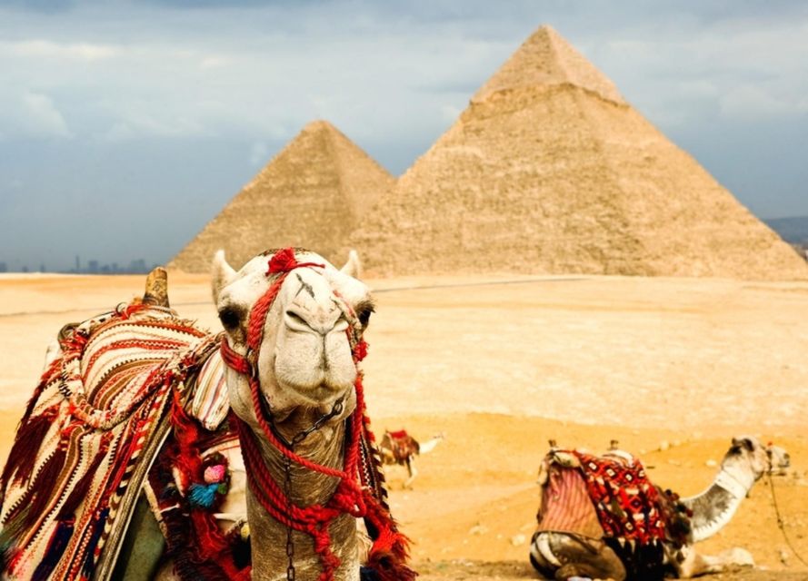 Giza Pyramids & Camel Ride Tickets - Pricing and Payment Options
