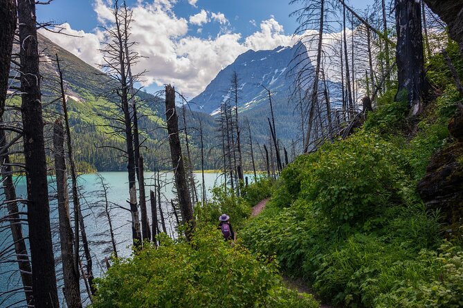 Glacier National Park Self-Guided Driving Audio Tour - Tour Description