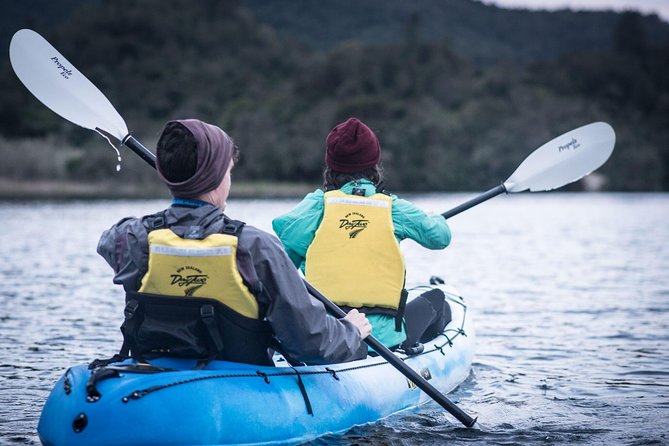 Glow Worm Kayak Tour