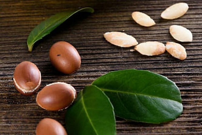 Go Rolaxe Go Massage and Spa With Argan Oil ®