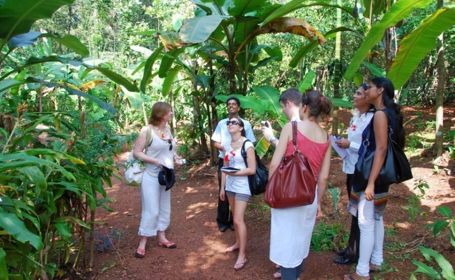 Goa: Dudhsagar Waterfall & Spice Farm Tour With Jeep Safari