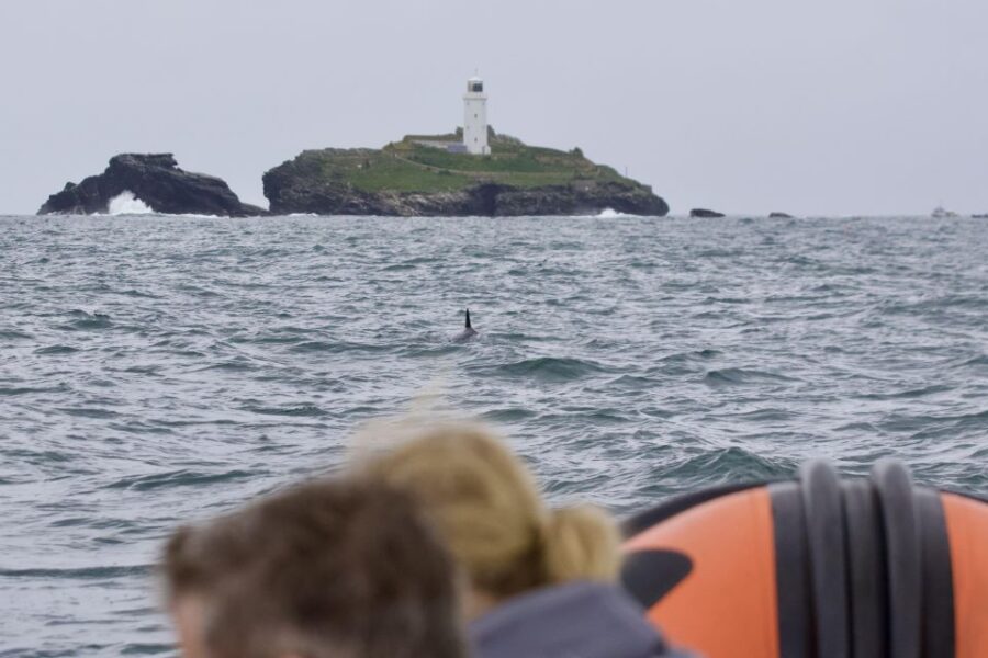Godrevy to Hells Mouth Boat Trip