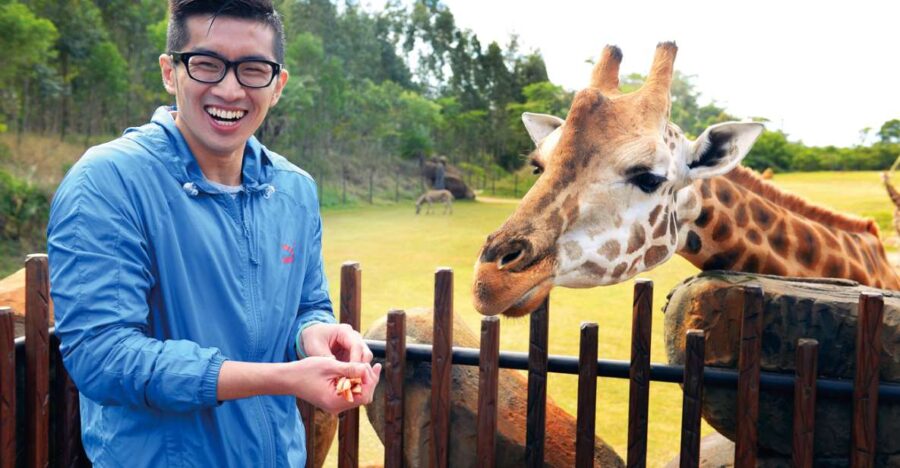 Gold Coast: Australia Zoo Ticket and Roundtrip Transfer