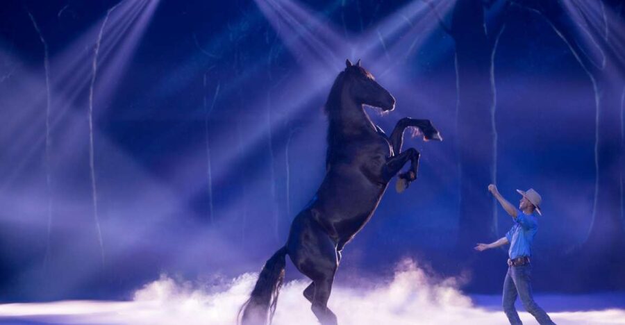 Gold Coast: Australian Outback Spectacular Dinner & Show - Immersive Aussie Outback Adventure