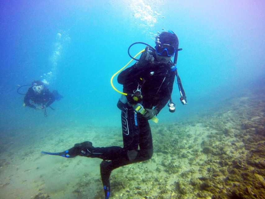 3 Best Scuba Diving Experiences In Gold Coast