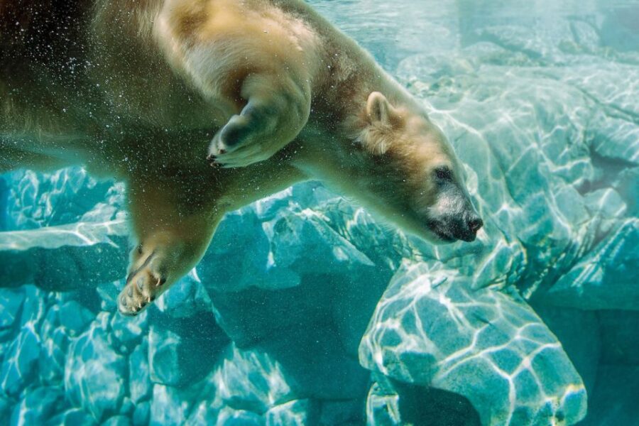 Gold Coast: Movie World, Sea World, WetnWild 14-Day Pass