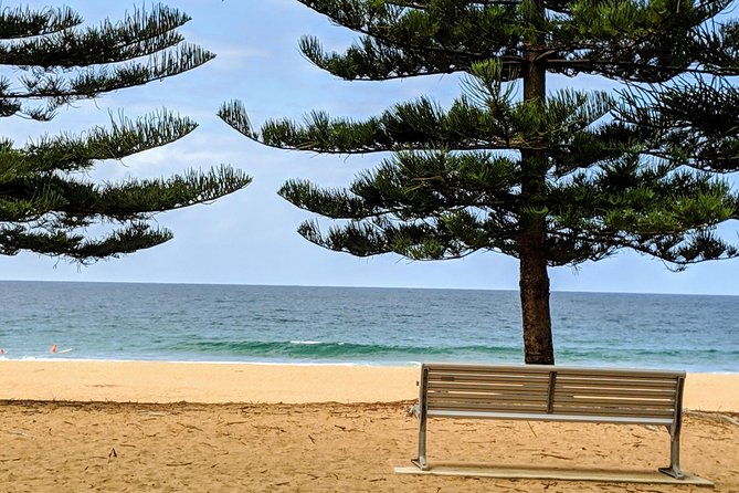 Golden Beaches and Ocean Vistas MANLY AND NORTHERN BEACHES PRIVATE TOUR