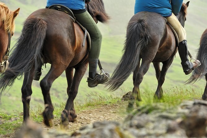 Golden Circle and Horses - Tour Overview