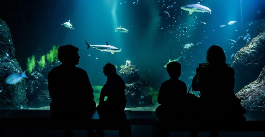 Gothenburg: Universeum Entry Ticket