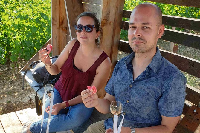 Gourmet Walk in the Heart of the Vineyards With Champagne Tasting Near Epernay - Overview of the Tour