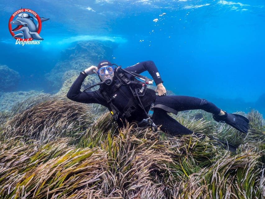 Gran Canaria: Discover Scuba Diving Beginner Program