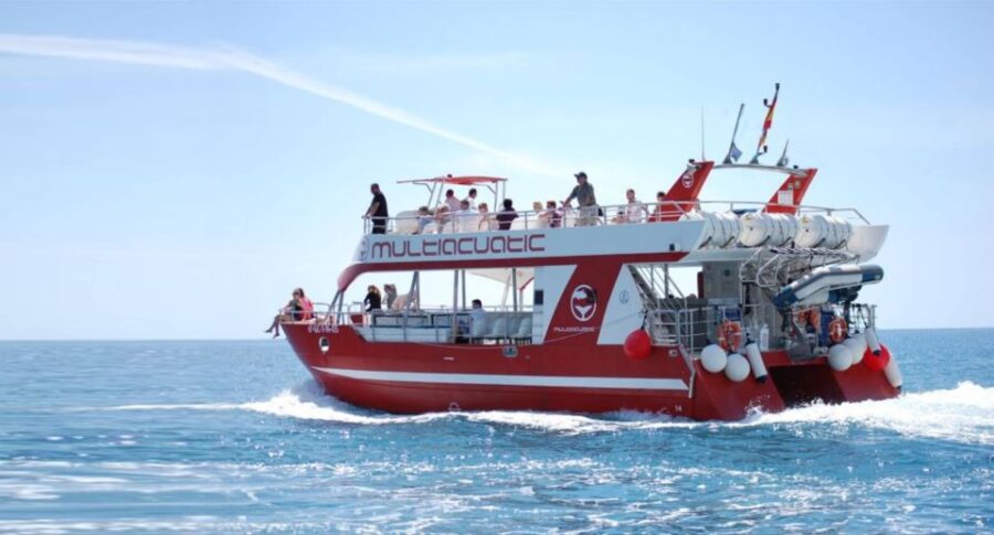 Gran Canaria: Dolphin and Whale Watching Cruise - Activity Overview