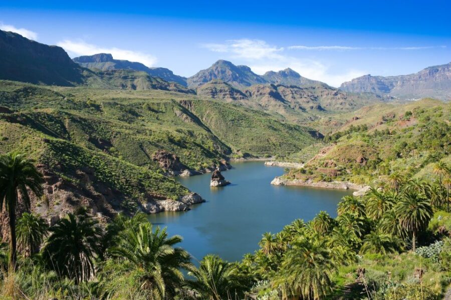 Gran Canaria: Full-Day VIP Tour by Bus - Experience Highlights