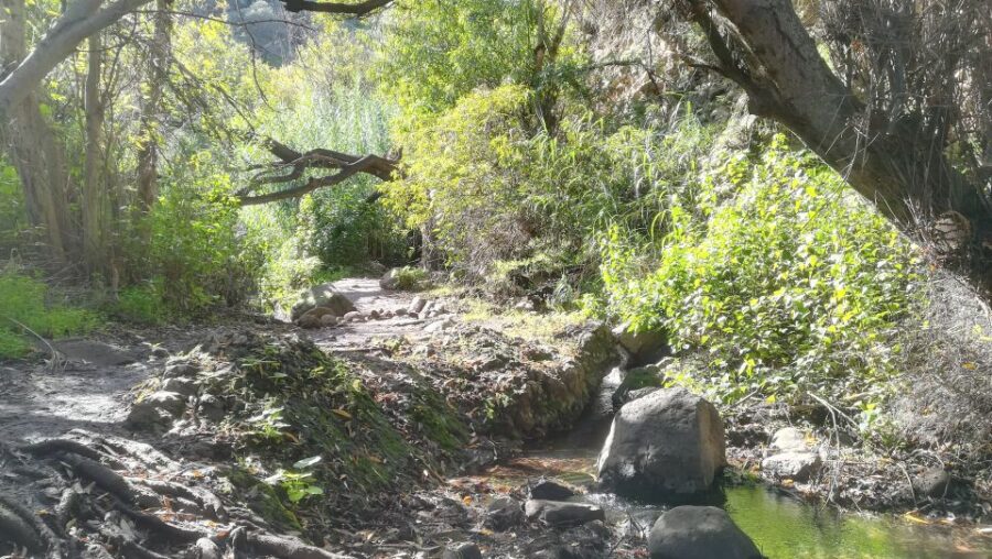 Gran Canaria: Magic Waterfalls Hiking Tour - Tour Details