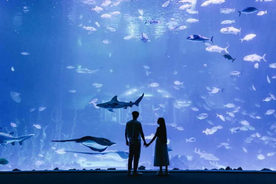 Gran Canaria: Poem of the Sea Skip-the-Line Ticket - Ticket Pricing and Booking