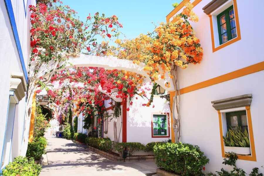 Gran Canaria - Puerto De Mogán & Market (Optional Boat Ride)