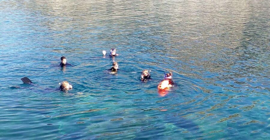 Gran Canaria: Snorkeling Trip - Trip Overview and Details