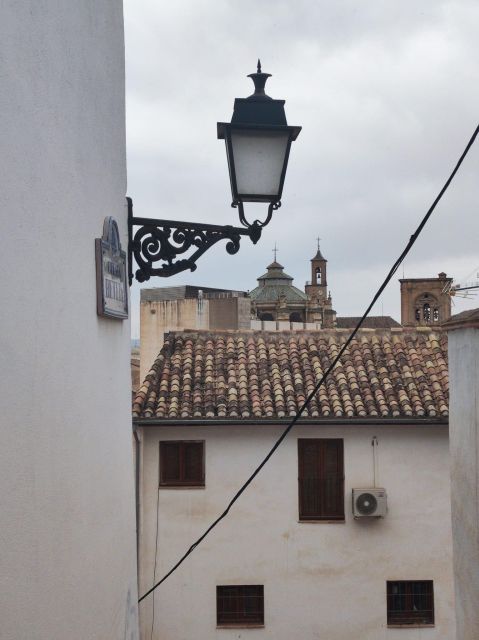 Granada: Customized Private Tour